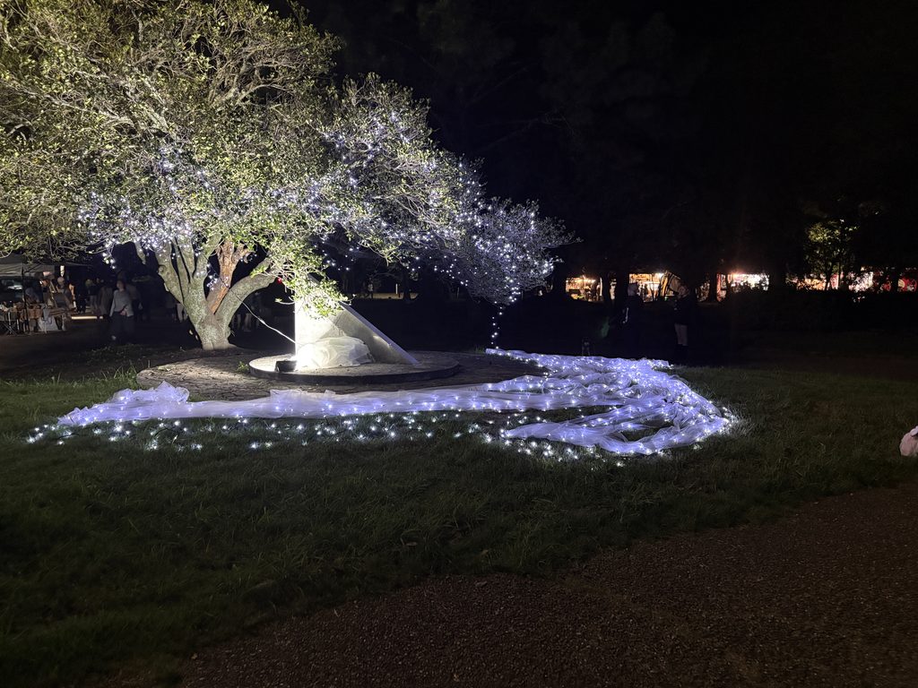 ライトアップされた豊橋公園